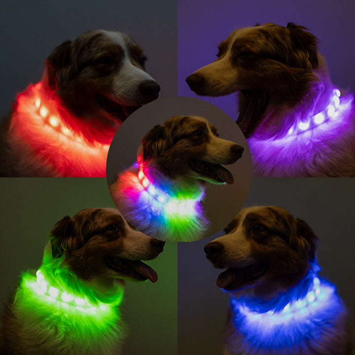 Luminoid LED Dog Collar - Bluetooth - App Control