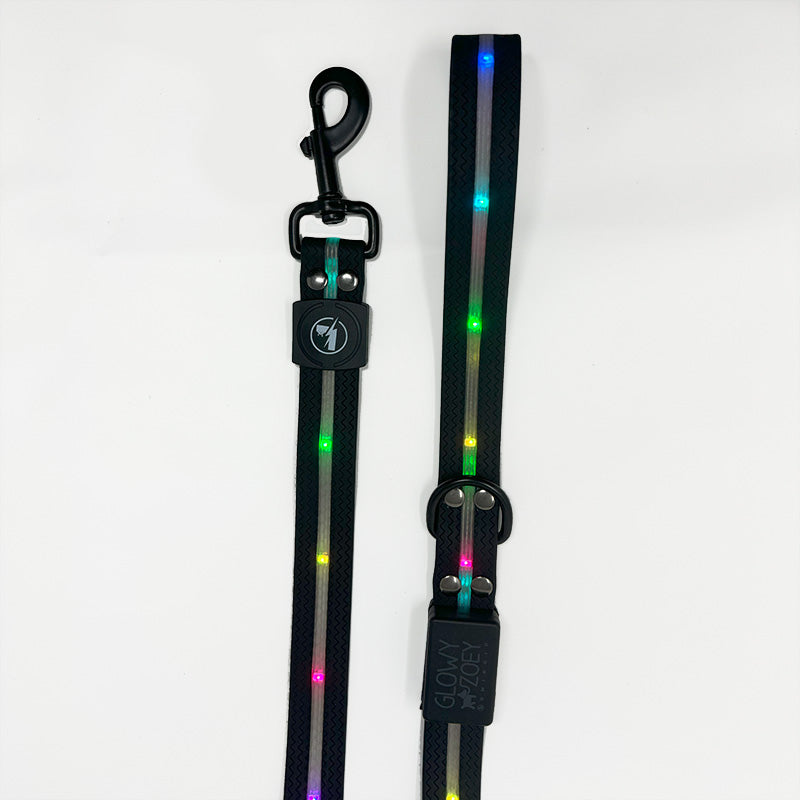 Luminoid LED Dog Leash
