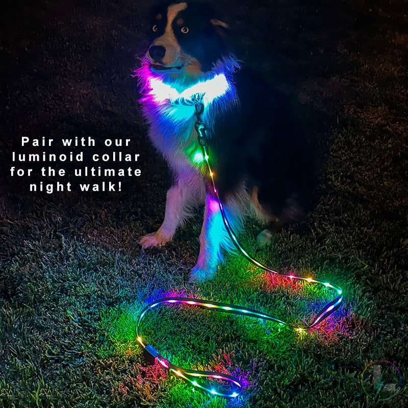 Luminoid LED Dog Leash