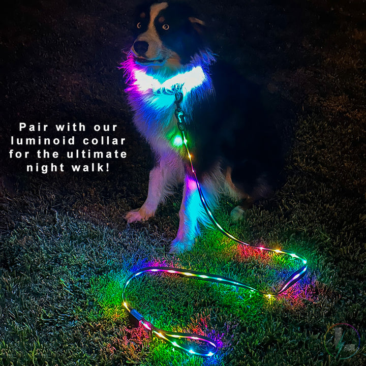 Luminoid LED Dog Leash