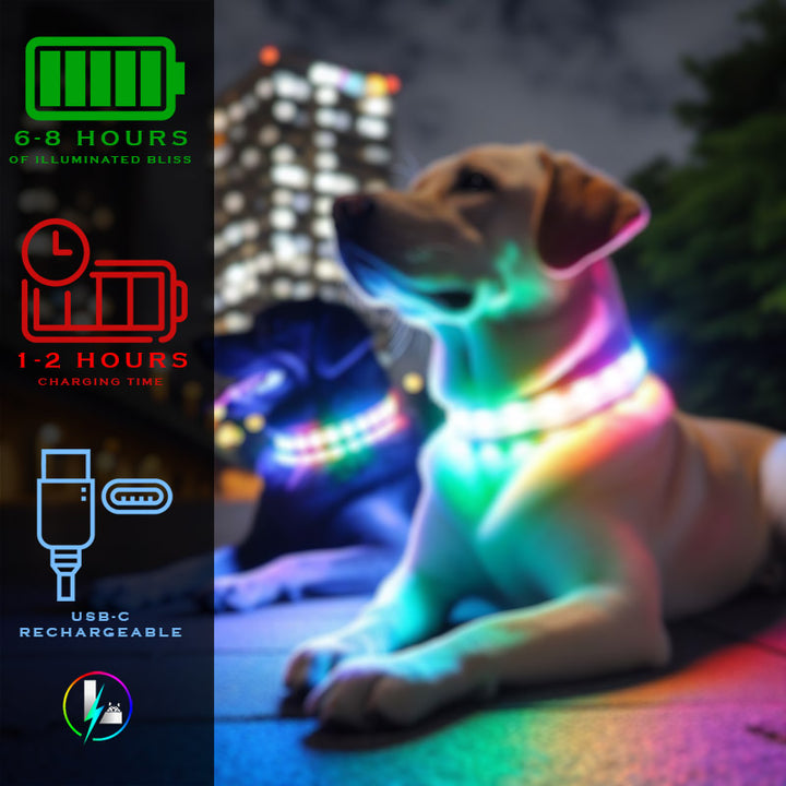 Luminoid LED Dog Collar - Bluetooth - App Control