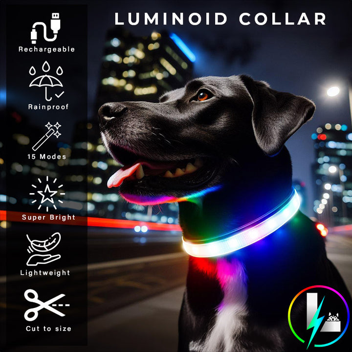 Luminoid LED Dog Collar - Bluetooth - App Control