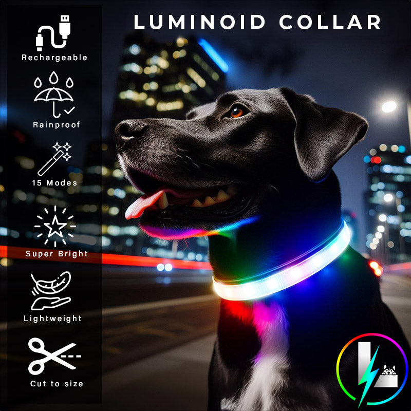 Luminoid Leash and Collar Combo