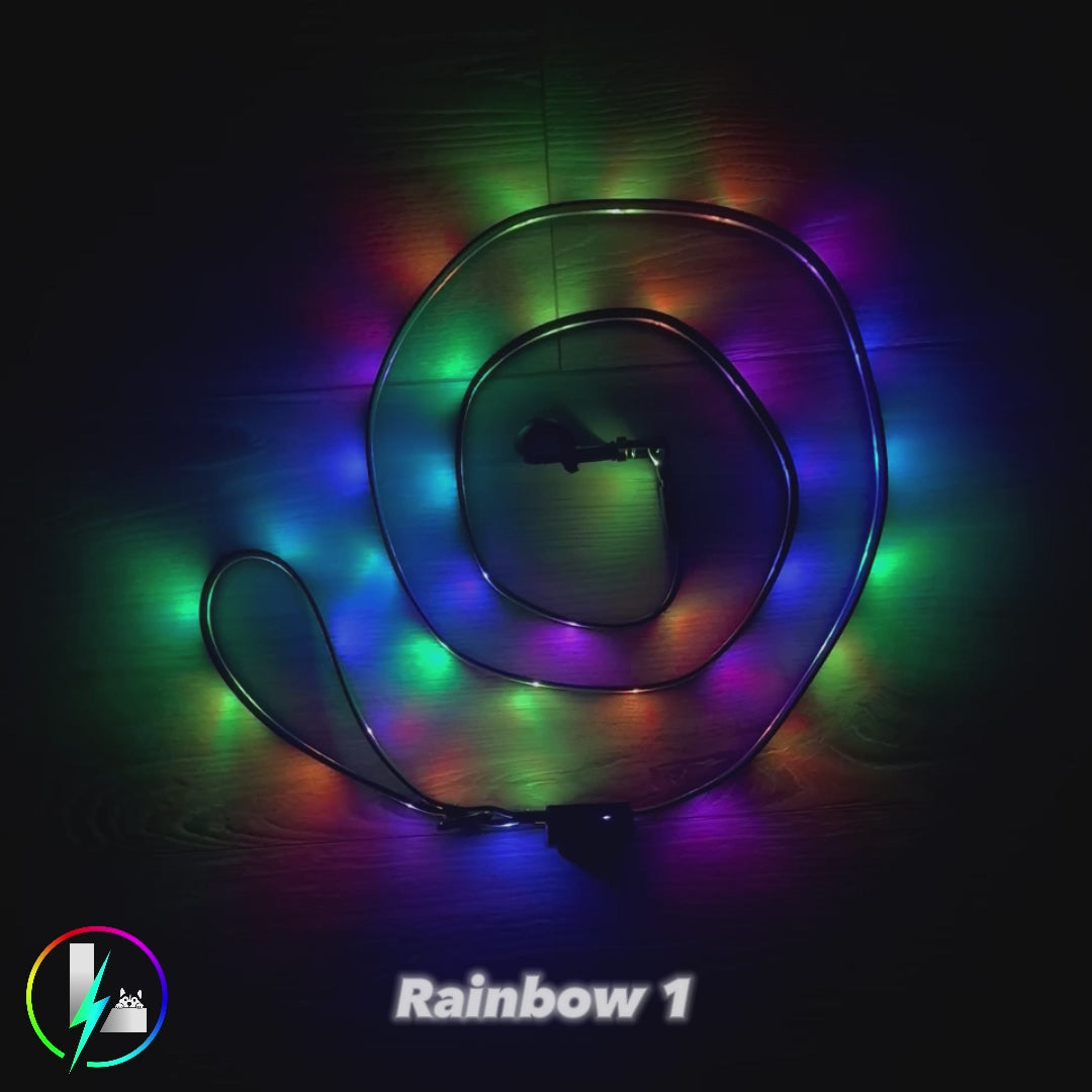 Luminoid LED Dog Leash