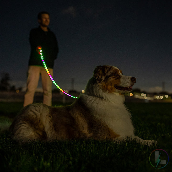 Luminoid LED Dog Leash